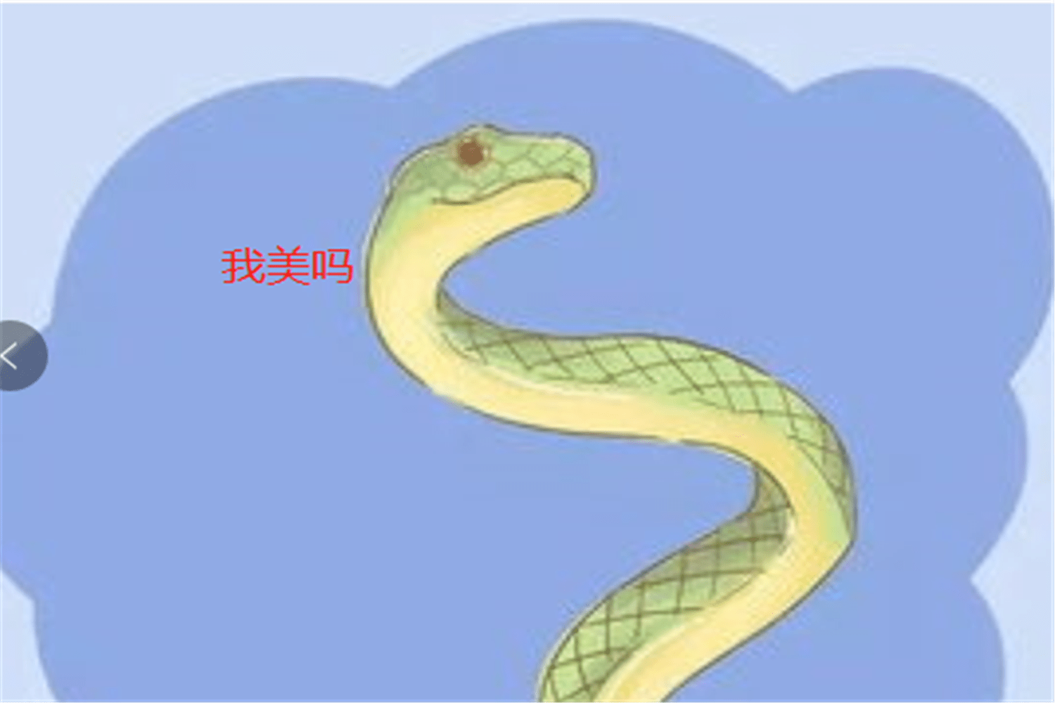 昨晚我做梦梦见有一大群蛇围绕着我转,这究竟有何预兆? 昨晚我做梦梦见有一大群蛇围绕着我转,这究竟有何预兆?