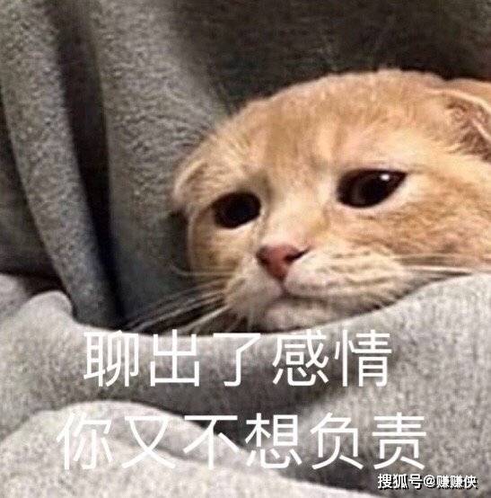最新表情包图片:你没有胖嘟嘟,只是肉很多