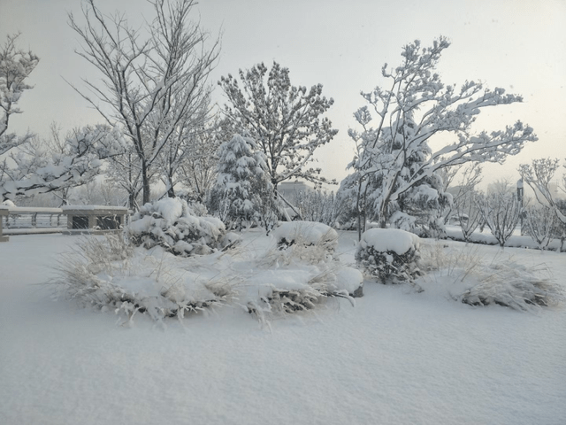 下雪天一定要到荣成走走,一不小心就到了天尽头