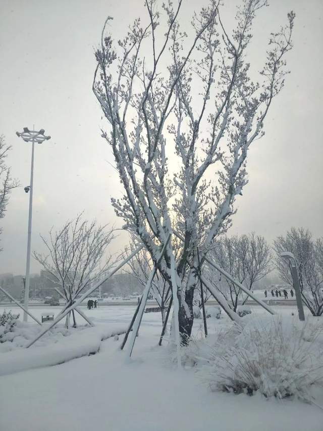 下雪天一定要到荣成走走,一不小心就到了天尽头