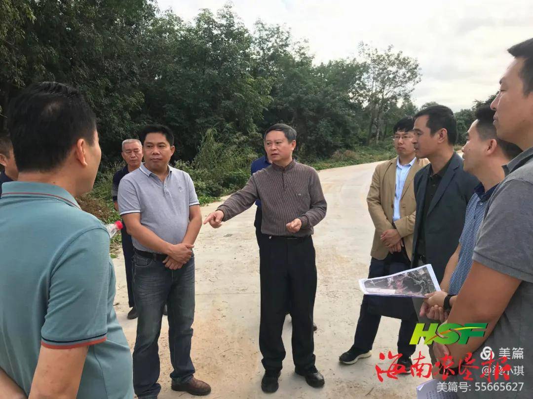 张志坚到立才农场公司调研三亚市政府回收项目用地工作