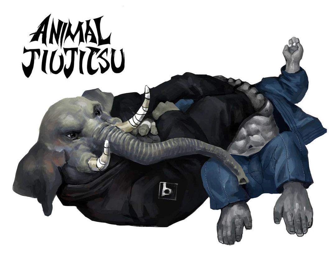 jiujitsu animal team & sports巴西柔术动物海报集