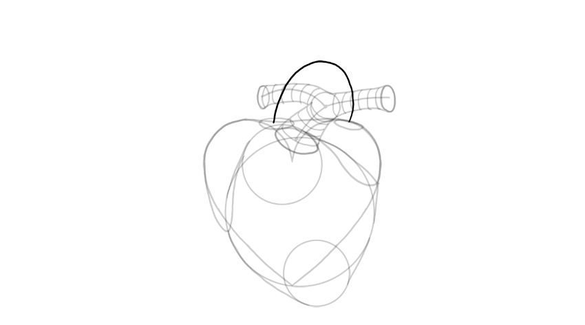 原创心脏怎么画教你画出3d写实的心脏画法技巧