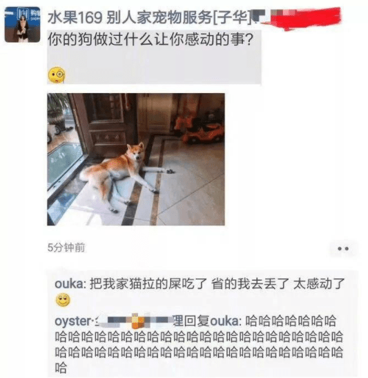 原创
"搞笑GIF动图段子:什么良辰吉日,都给我等一会!"
