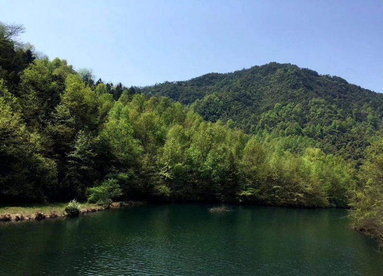 古道寻秋，徒步杭州萧富古道，登萧山第一高峰船坞山