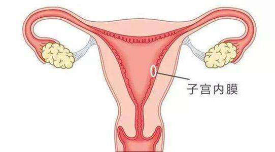 女性子宫内膜薄能不能正常怀孕来听听医生怎么说