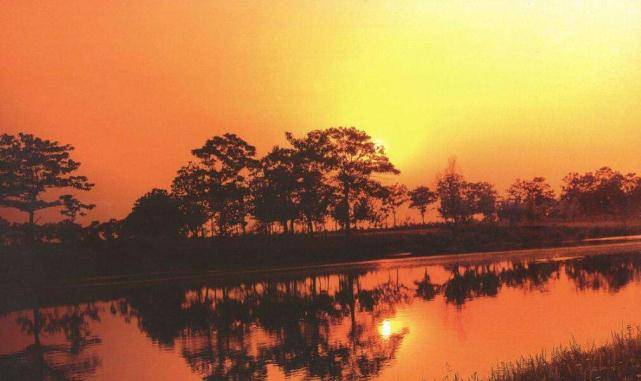 柘城县2019年GDP_柘城县地图