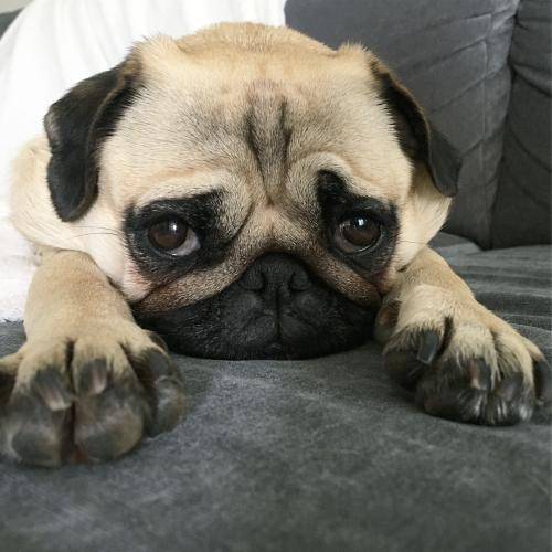吃什么不会饿得快 426653ed67474690a6818c3176210ffb.jpeg