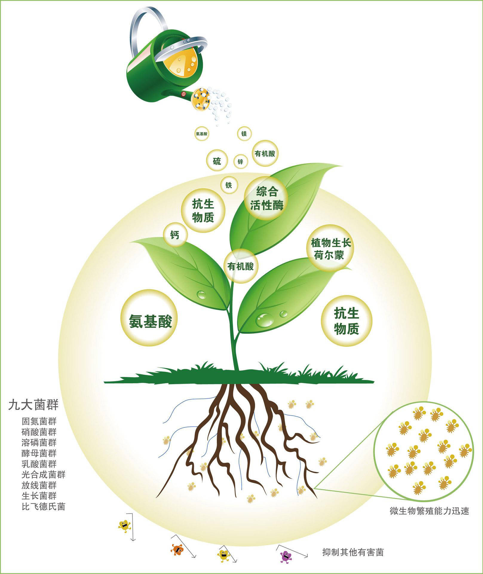 生物菌肥能和复合肥混用吗?关键还是得看土壤