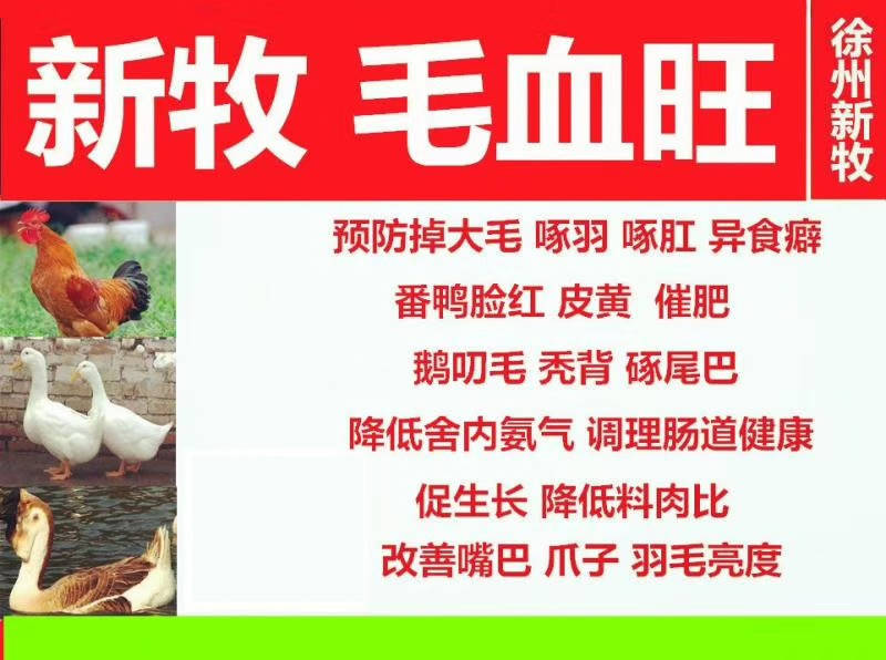 怎么散养 7eec93c4b139486b8d1d7128388991ab.jpeg