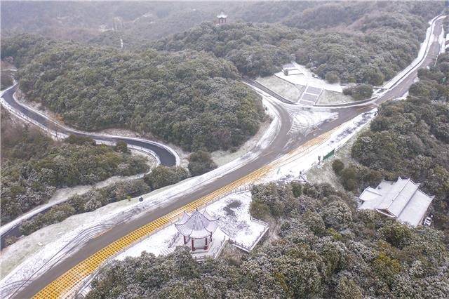 百里杜鹃，一下雪就美成仙境