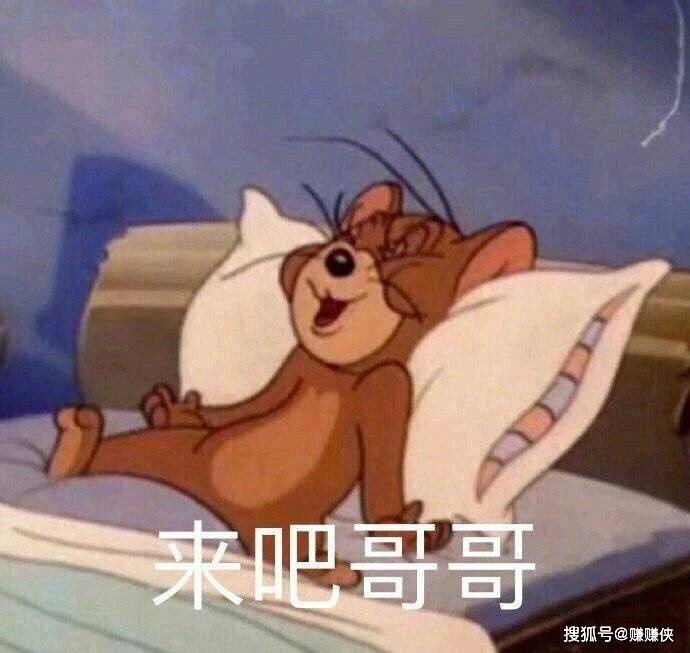 最新表情包图片:别睡了,小懒猪,我都看见了