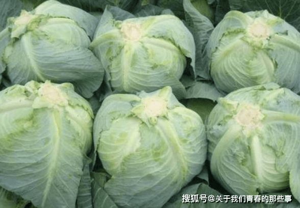 9610228f32b443238c480cb6ccb7c053.png
