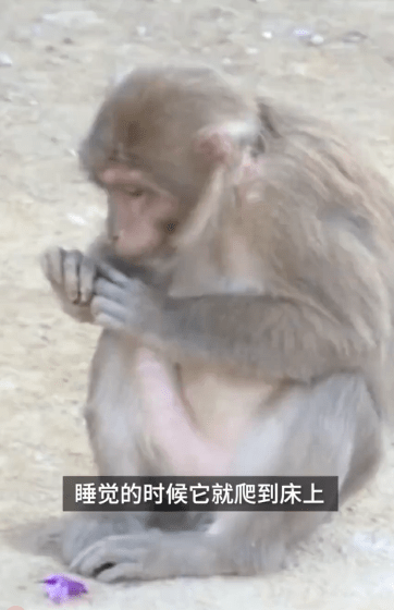 求助未果 aeb7737a6d024502a33abfbd626039b9.png