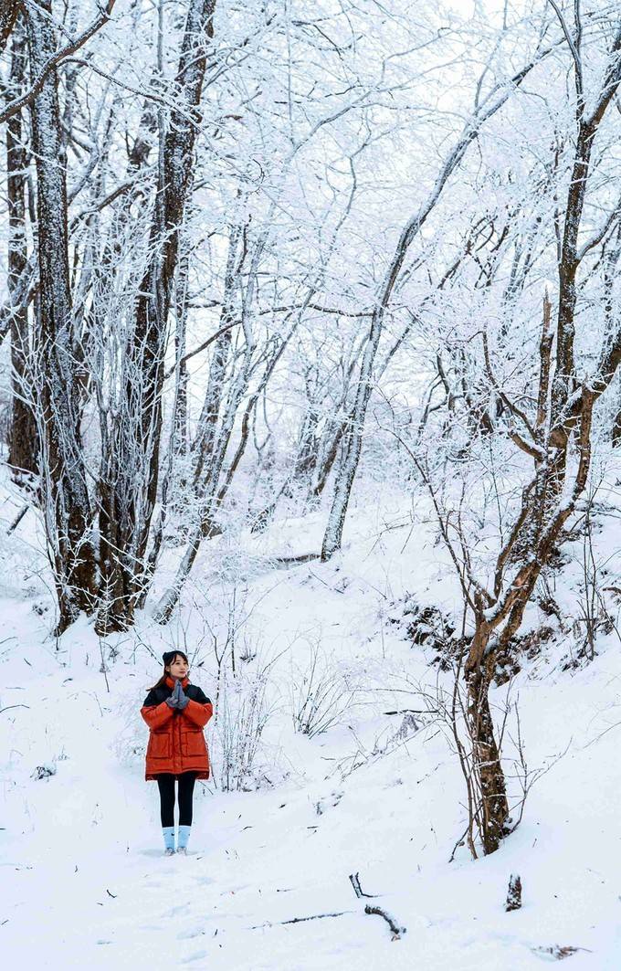 秦岭雪乡50里小众赏雪大道超实用攻略