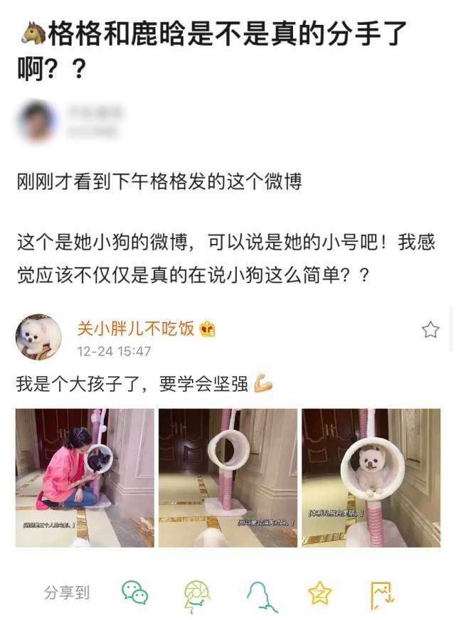 澳门永利鹿晗关晓彤无预警一起冲|我也玩|上微博热搜榜第一名引发网友热议
