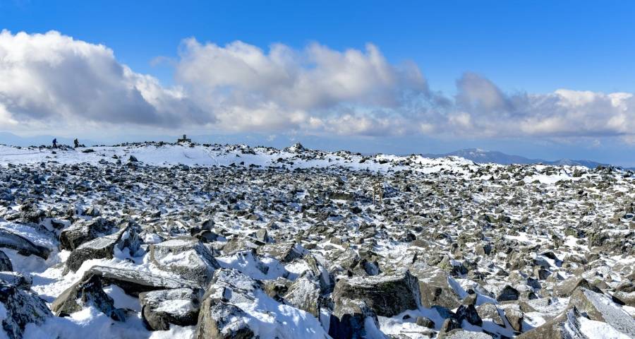 家电企业无间道商战今年频发的背后-家电圈官网