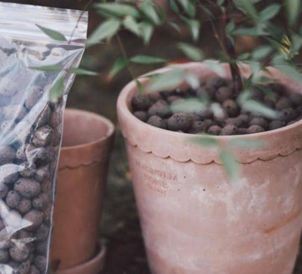 原创夏季温度高,植物发蔫没精神?给花草盆栽铺面,遵循2点就解决