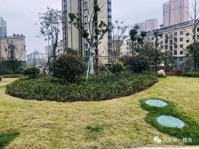 地库上人口_地库柱上板带涂刷图片(3)