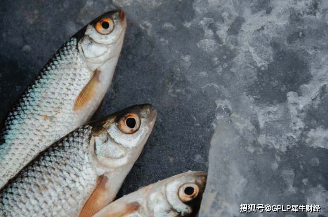 通威股份股价不乐观：市值较最高点已蒸发近10