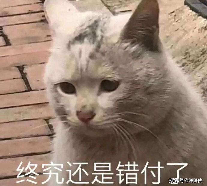 微信表情包图片:适合发朋友圈