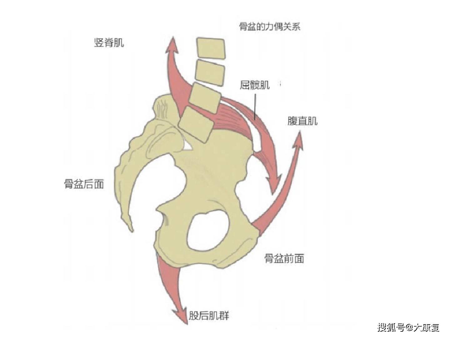 医学骶髂关节半脱位专题