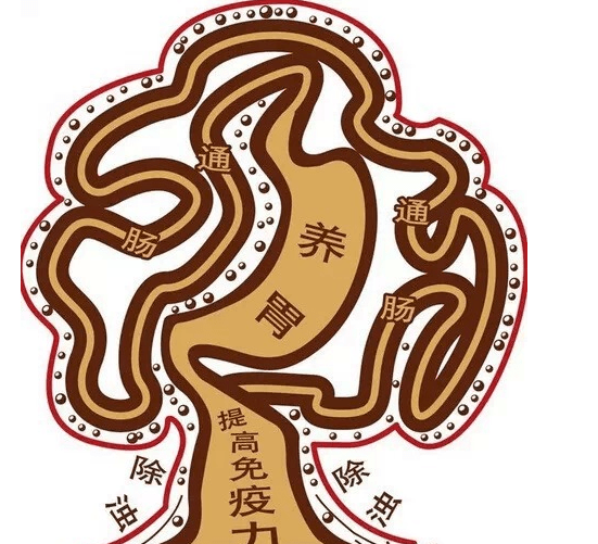 怎样治疗口臭最快 13ac262f0d9849cf954f6bde6ee731b0.png