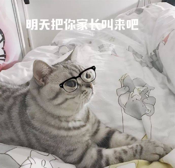 bbfd7ab6c8ed46caa6f9b78f807cc7c5.jpeg