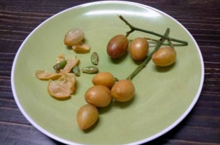 什么食物对皮肤好还能美白 7343ad33e410450a9b480fd409b17b8d.jpeg