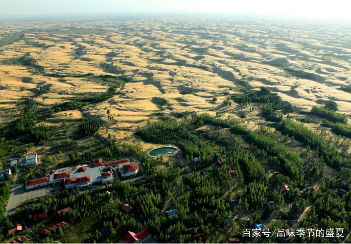 中国用30年将沙漠“变”绿洲，现在被他们“毁了”，治沙人：心痛