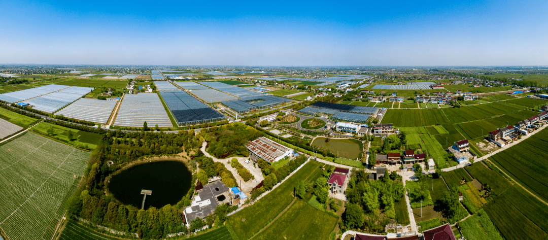 「聚焦长三角」江苏省泰兴市建设国家现代农业产业园探析