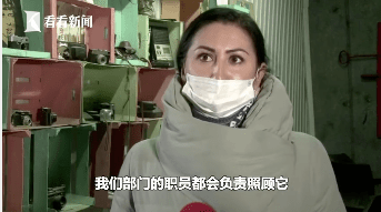 粉碎机排行_环保设备排名,移动树枝粉碎机位列其一,质量有保证