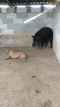 2,车模小姐姐你不怕把车门坐坏么