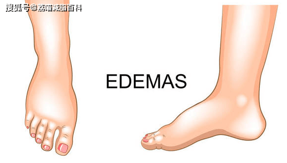 e12e380d314842eaa1ba7ebb5d7365d7.png
