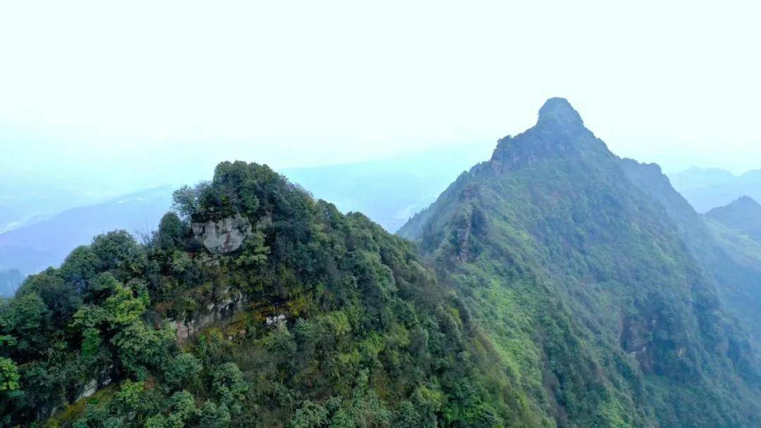 【创建天府旅游名县】四川兴文这个地方绝了！太壮美了