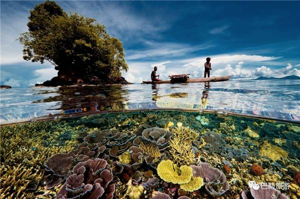 全球独一份｜失落的伊甸园——巴布亚新几内亚潜水终极指南