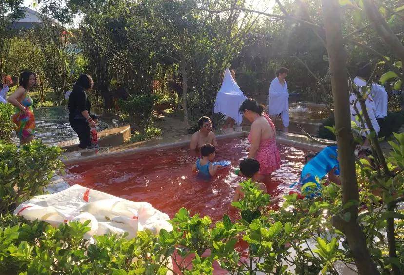 昆明最惬意的真温泉,我找到了!元旦养生局约起!