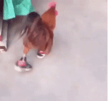 d5c97be052d147559b26dc775b523fd4.gif