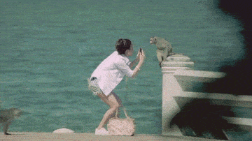 搞笑gif段子:我猜新娘子,娶回去后应该很少会吵架!