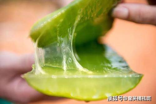 什么菜用到柠檬 ddfba2c82a0746d8b272a07e9f39fdd6.jpeg