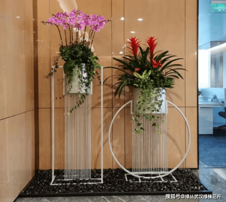武汉绿丛:租摆花卉绿植设计方法