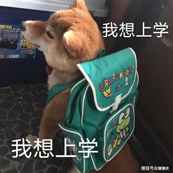 表情包:看你往哪跑