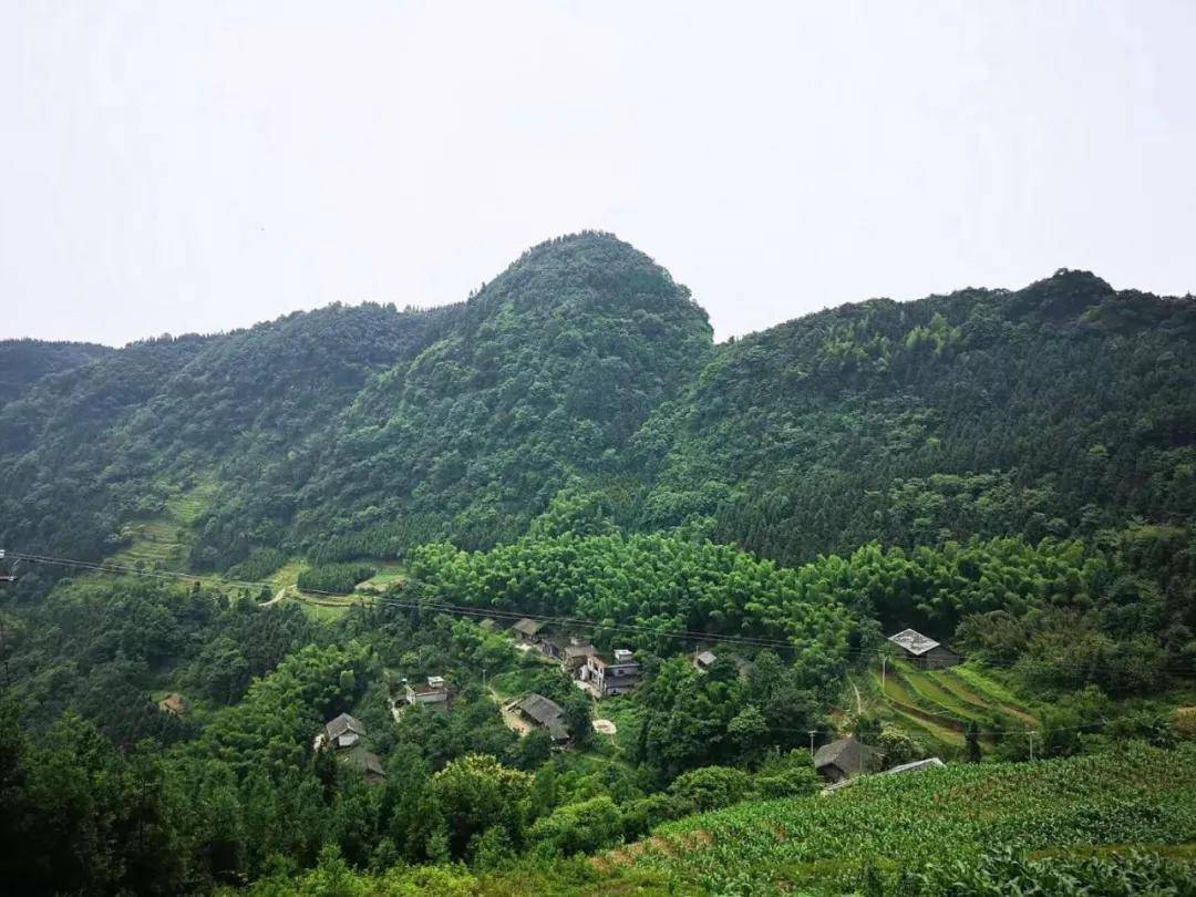石朝乡人口_邻水凉山乡人口(2)