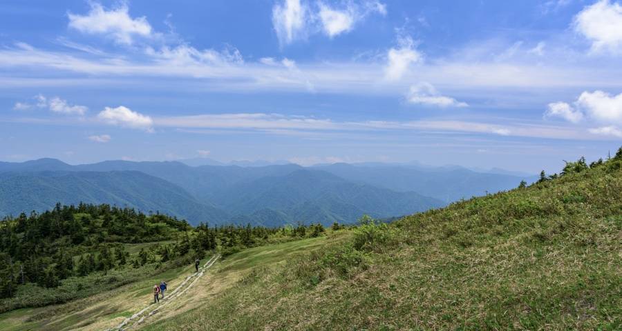 上涨打响2021年中国家电业的第一枪-家电圈官网