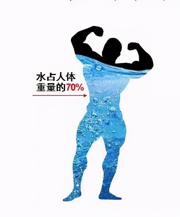 人体所需水分从哪里来?