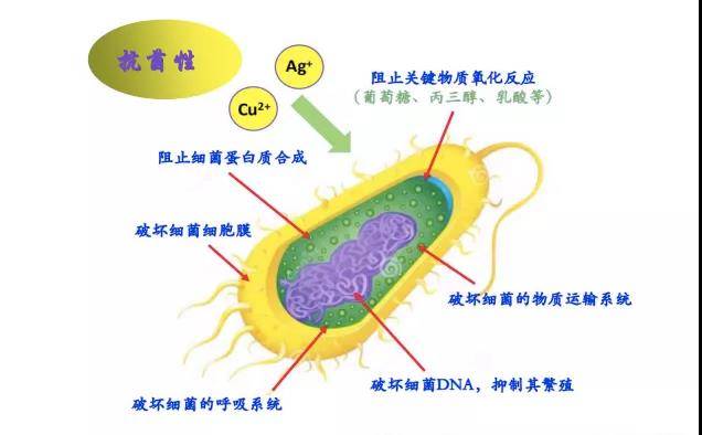 成本|柠檬豆发布革命性新型不锈钢，成本降低20-30%，高耐蚀！高强度！高抗菌！