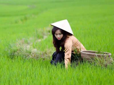实拍越南农村女人的真实生活，眼前的这一幕，看完真想娶一个回家