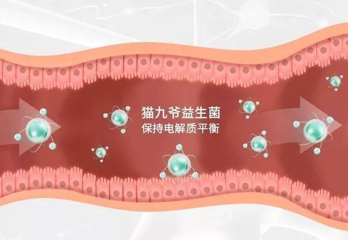 什么是电解质紊乱是如何形成的 c1e24e4a058b4e0f9551b16bc58e0a9d.jpeg