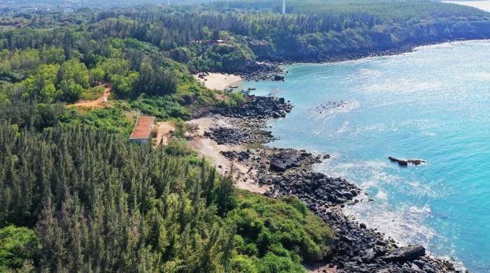 巨头发力价格开道，2021年洗碗机市场将迎新一轮普及潮-家电圈官网