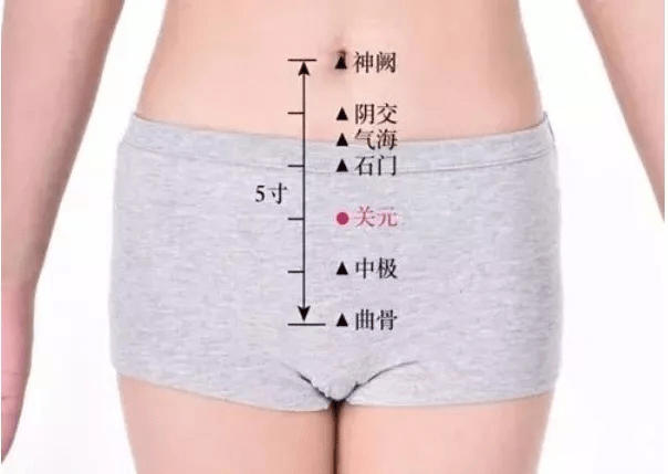 补肾最快的穴 43b3e38753c043ce83e007095bc82193.png